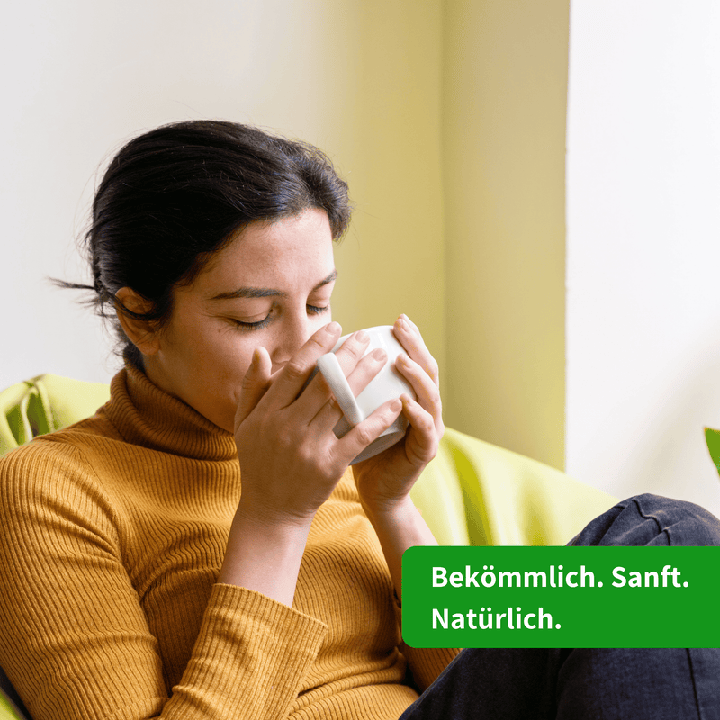 Pfefferminzblätter Nahaufnahme — Bio Mentha piperita | Herzlich Natur