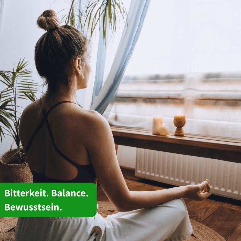 Mariendistel Blüten violett — Bio Silybum marianum | Herzlich Natur