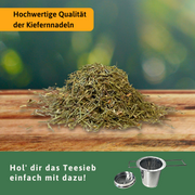 Kiefernnadeln Nahaufnahme — Bio Pinus sylvestris Nadelpaare | Herzlich Natur