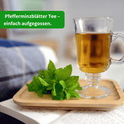 Bio Pfefferminzblätter Tee Zubereitung — Eistee Variante | Herzlich Natur