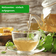 Zitronenmelisse Nahaufnahme — Bio Melissa officinalis | Herzlich Natur