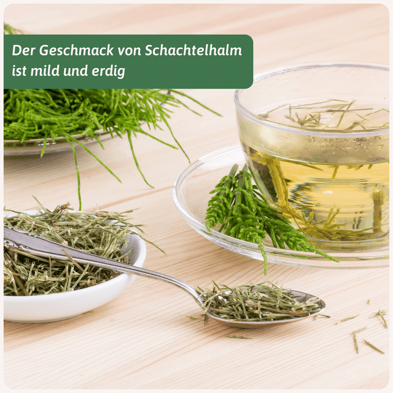 Bio Schachtelhalmkraut Tee Zubereitung — Kräutertee aus Europa | Herzlich Natur