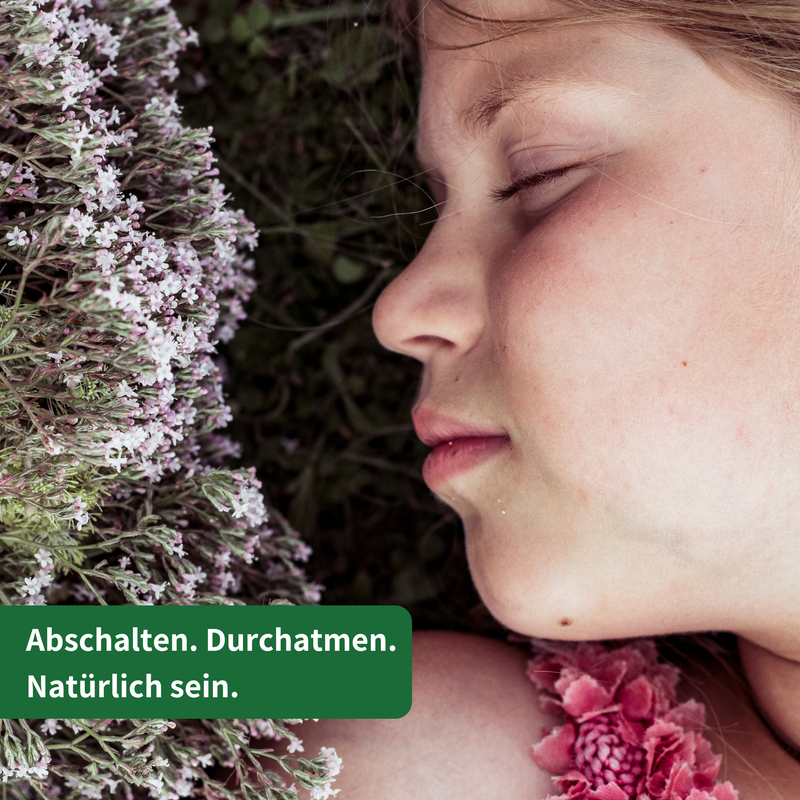 Bio Baldrianwurzel Tee 1000g Großpackung — Bio-Kräutertee | Herzlich Natur