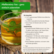Bio Pfefferminzblätter Tee Varianten 100g bis 1000g | Herzlich Natur