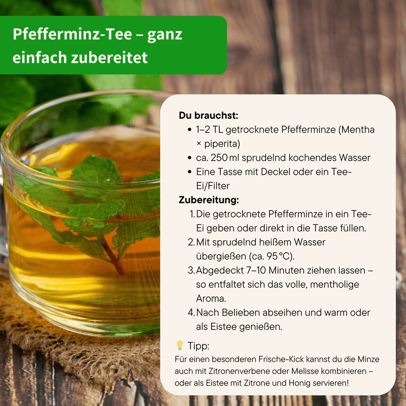 Bio Pfefferminzblätter Tee Varianten 100g bis 1000g | Herzlich Natur