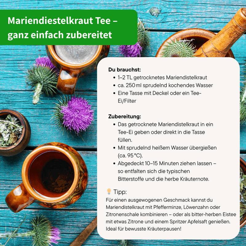 Mariendistelkraut Zubereitung — Bio Kräutertee | Herzlich Natur