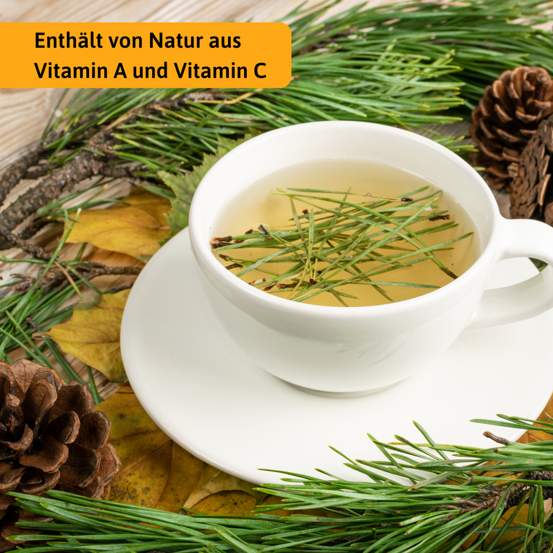 Bio Kiefernnadeln Tee Varianten 50g bis 1000g | Herzlich Natur