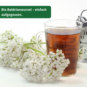 Bio Baldrianwurzel Tee 500g — Schonend getrocknet | Herzlich Natur