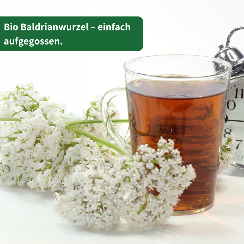 Bio Baldrianwurzel Tee 500g — Schonend getrocknet | Herzlich Natur