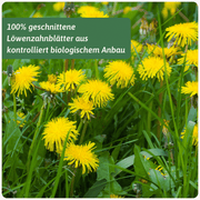 Löwenzahnblätter Zubereitung — Bio Kräutertee Europa | Herzlich Natur