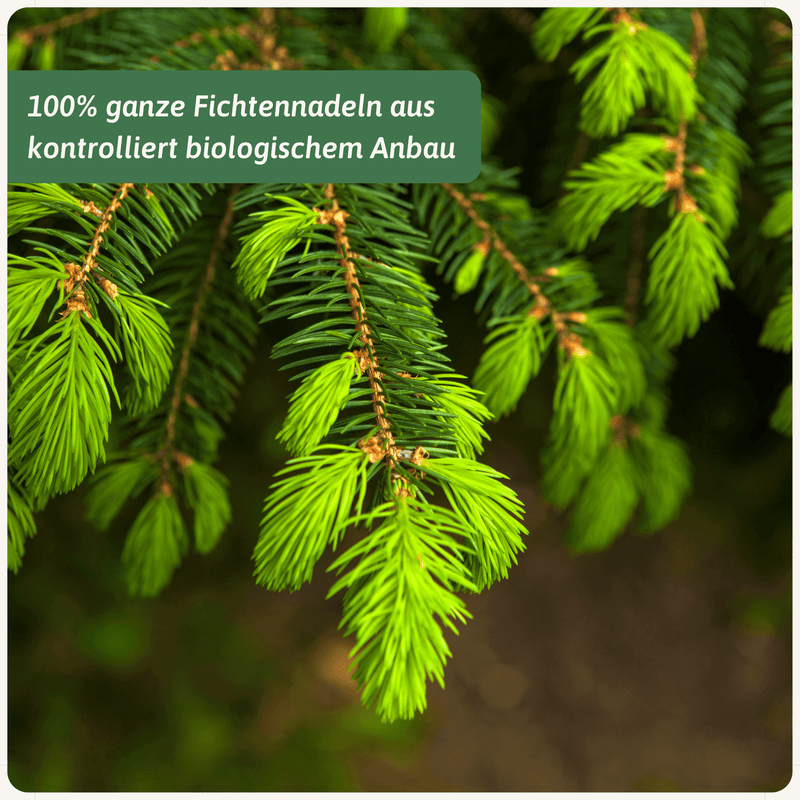 Bio Fichtennadeln Tee Varianten 50g bis 1000g | Herzlich Natur