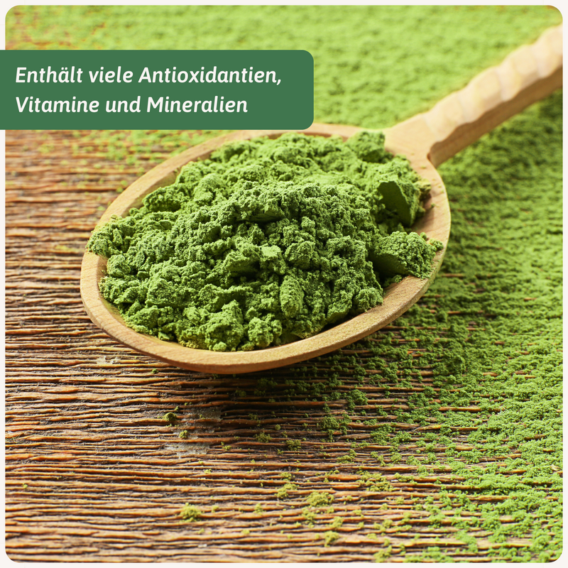 Matcha Qualitätsstufen Vergleich — Bio Matcha | Herzlich Natur