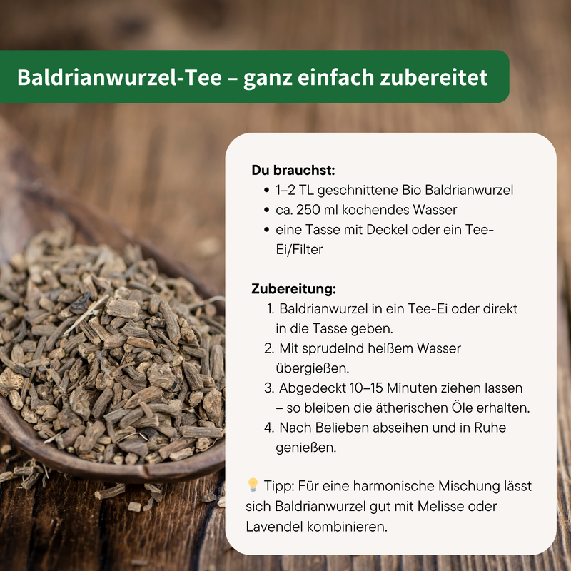 Getrocknete Baldrianwurzel Nahaufnahme — Bio-Kräuter aus Europa | Herzlich Natur