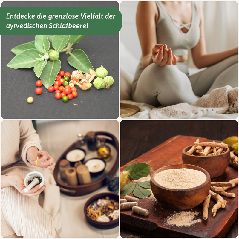 Ashwagandha Inhaltsstoffe Vergleich — Bio Withania somnifera | Herzlich Natur