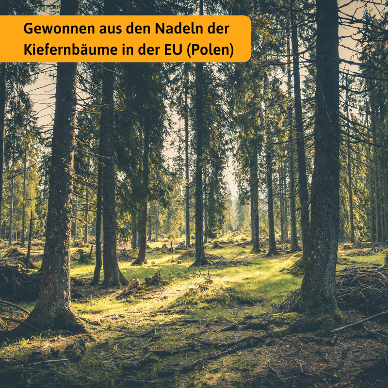 Bio Kiefernnadeln Tee 1000g Großpackung | Herzlich Natur