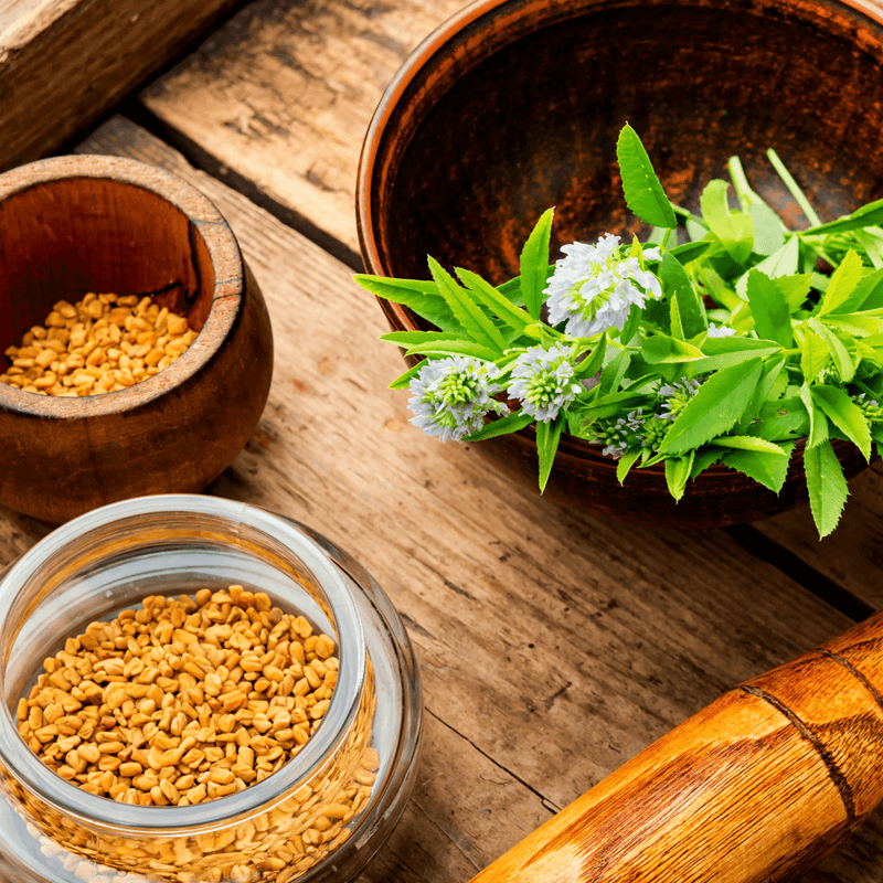 Bio Bockshornkleesamen Produktbild — Nussig-würzige Samen | Herzlich Natur