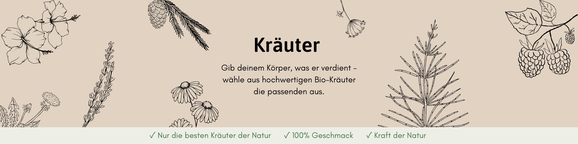  Hero-Illustration der Unterseite der Kräuter-Seite von Herzlich Natur