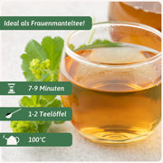 Frauenmantel Inhaltsstoffe Vergleich — Bio Alchemilla vulgaris | Herzlich Natur