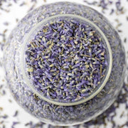 Lavendelblüten lila Nahaufnahme — Echter Lavendel Bio-Kräuter | Herzlich Natur