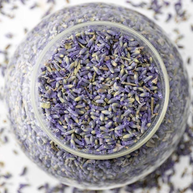 Lavendelblüten lila Nahaufnahme — Echter Lavendel Bio-Kräuter | Herzlich Natur