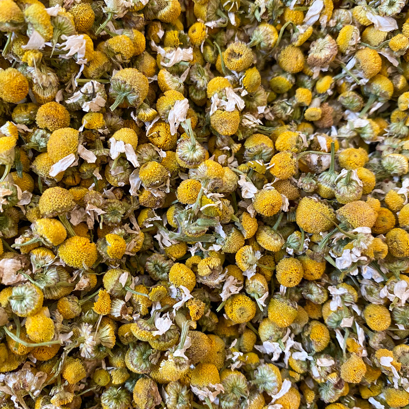 Kamillenblüten Nahaufnahme — Echte Kamille Bio-Qualität | Herzlich Natur